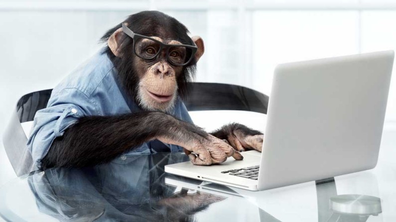 infinite monkey theorem